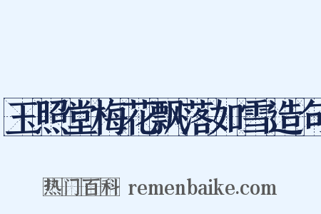 玉照堂梅花飘落如雪造句是什么意思的图片